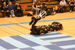 Cat Roll at Tournament Demo