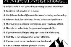 Be a TRUE Martial Artist